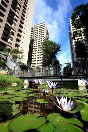 日勝幸福站-雙鑽石綠建築社區1.jpg (54 KB)